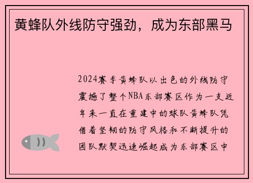 黄蜂队外线防守强劲，成为东部黑马