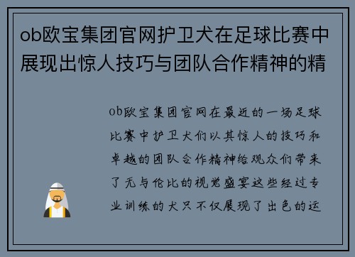 ob欧宝集团官网护卫犬在足球比赛中展现出惊人技巧与团队合作精神的精彩瞬间